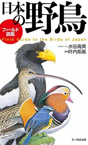 フィールド図鑑 日本の野鳥／叶内 拓哉