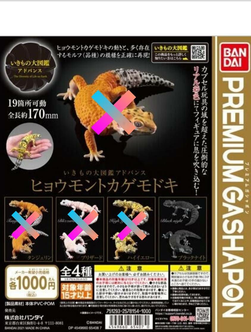 ヒョウモントカゲモドキ ガチャ いきもの大図鑑アドバンス