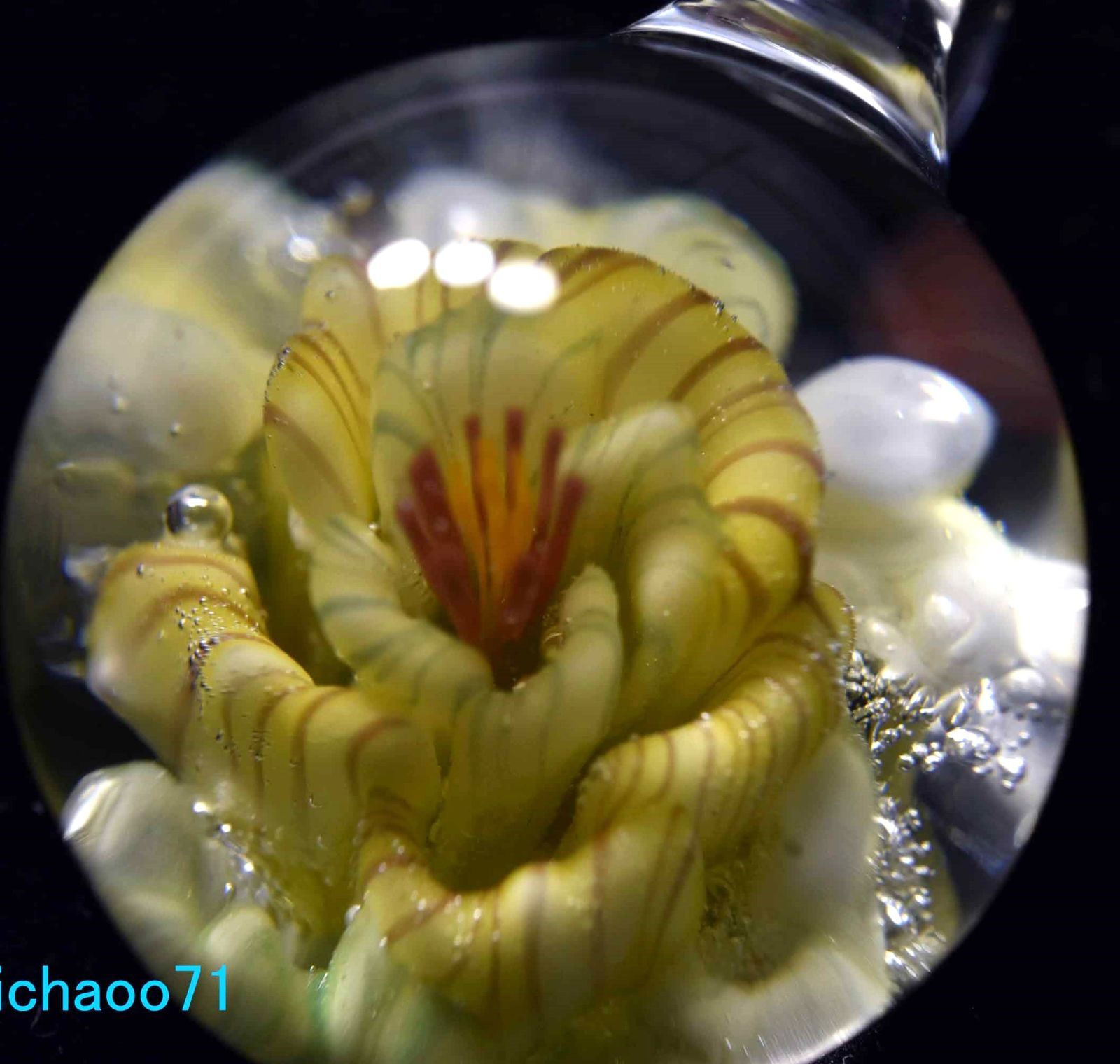 フラワー ガラスのペンダントトップ (12119-P21)GLASS FLOWER 透き通っ