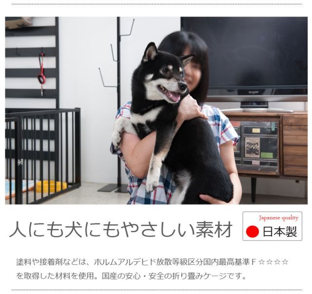 シリーズ