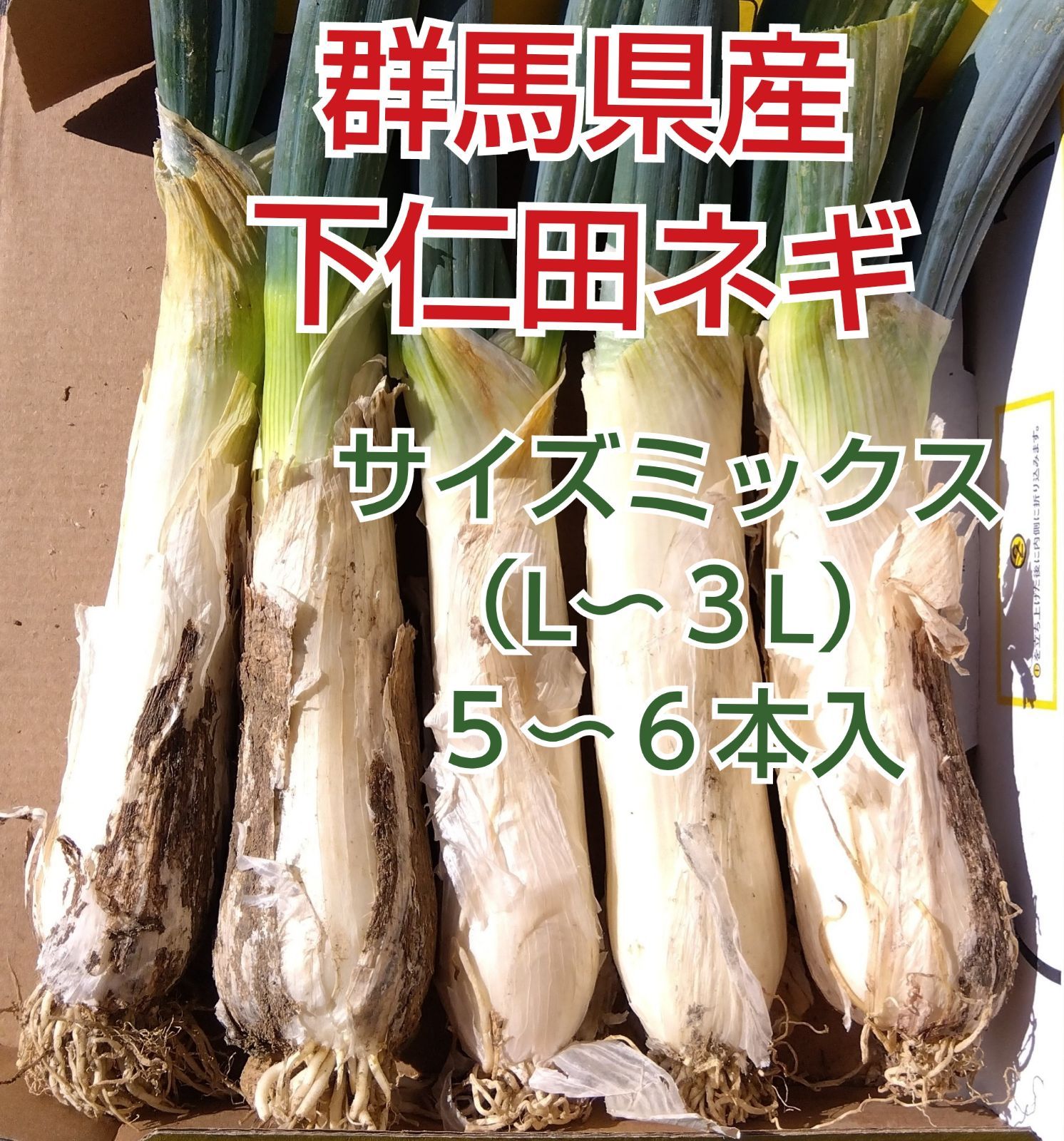 ✧数量限定✧【群馬県産下仁田ネギ】L〜３Lサイズミックス５〜６本