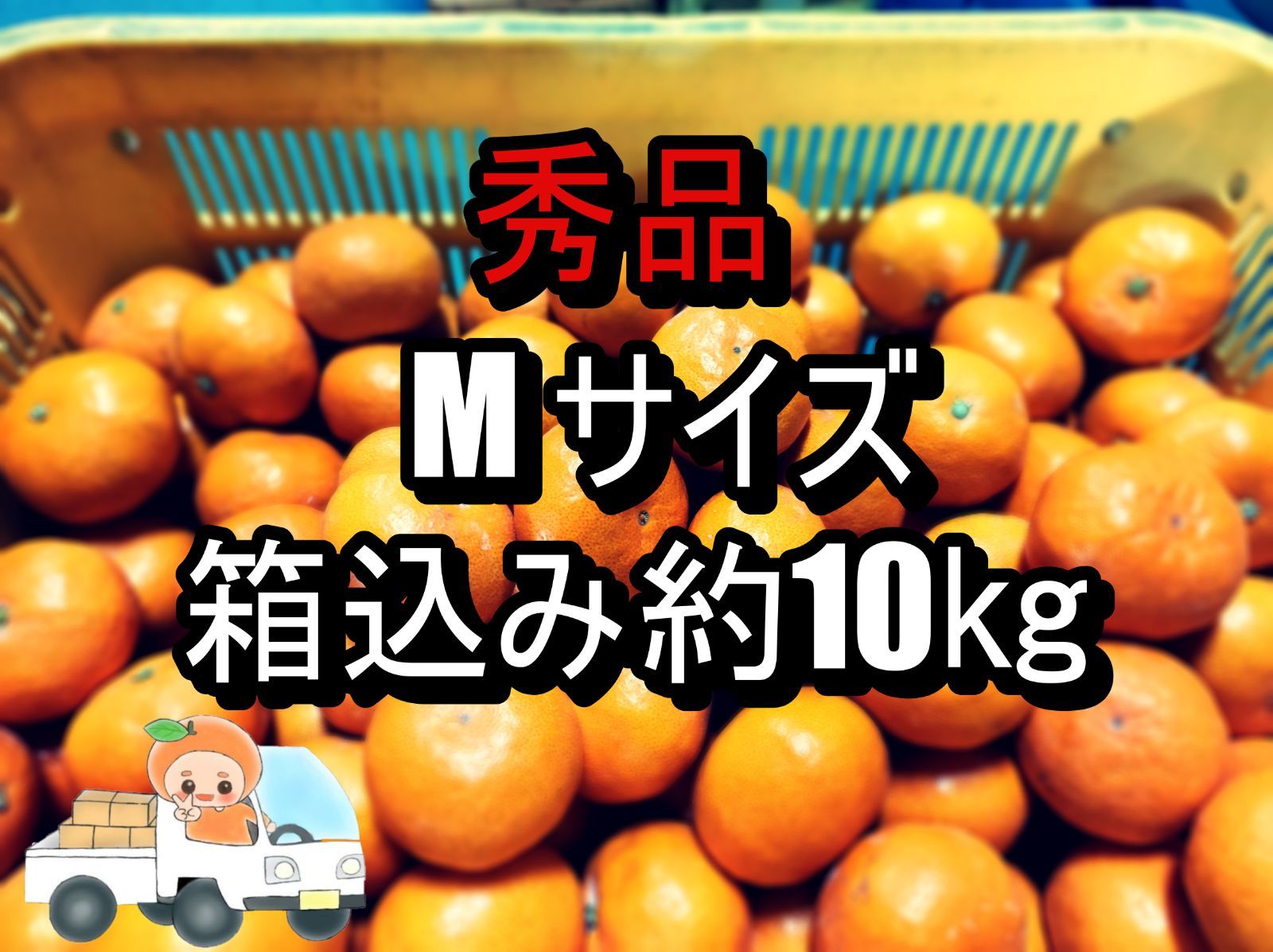 木熟大坊みかん秀品Ｍサイズ箱込み約10kg