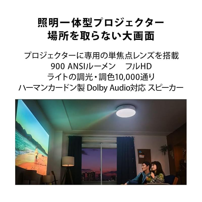 カラオケマイク