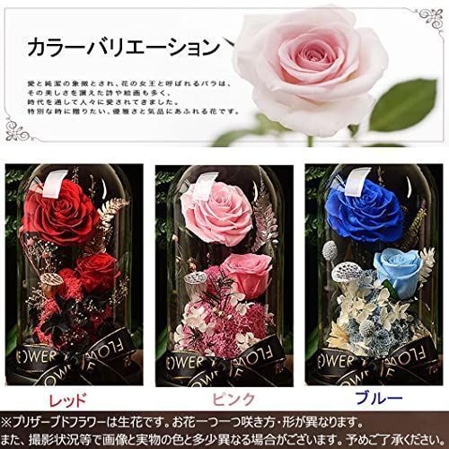 02レッド プリザーブドフラワー 可愛い バラ レッドローズ 薔薇 枯れ