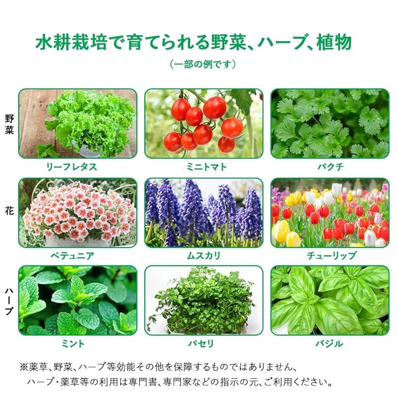 おしゃれ 家庭菜園