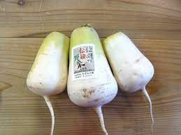 メルカリshops かわいい ねずみ辛味大根の種 固定種 辛味の中にほんのり甘味 信州伝統 メルカリshops かわいい ねずみ辛味大根の種 固定種 辛味の中にほんのり甘味 信州伝統