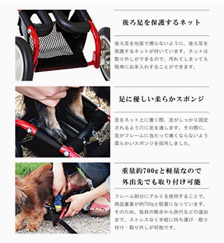 ミニチュアダックス ドッグウォーカー
