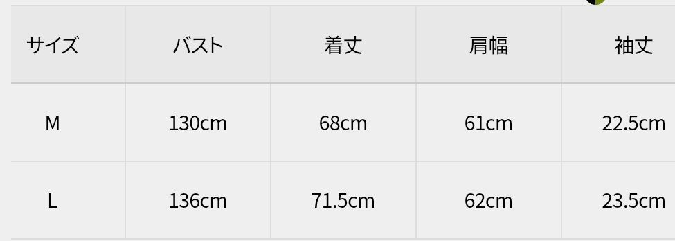 正規品 LHP ダンケシェーン ヴィンテージ Tシャツ トップス ベージュ DANKE SCHON - 正規品 LHP ダンケシェーン ヴィンテージ Tシャツ