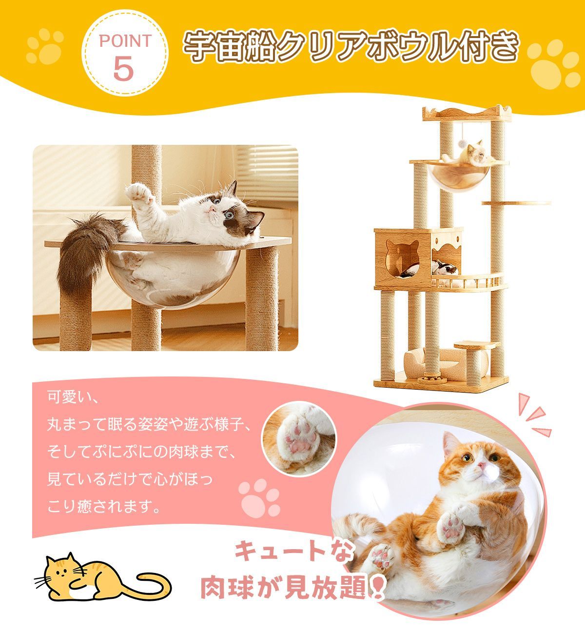 大型猫用 多頭飼い
