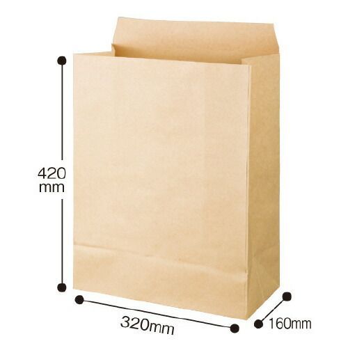 経済的 パ マチ広宅配袋 １００ｇ 大 ５０枚×４4175-5228 カウネット 【限定品】