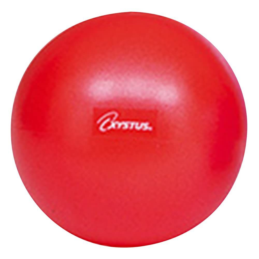 人気商品 XYSTUS ジスタス LIGHT トーエイライト ピラティスボール TOEI