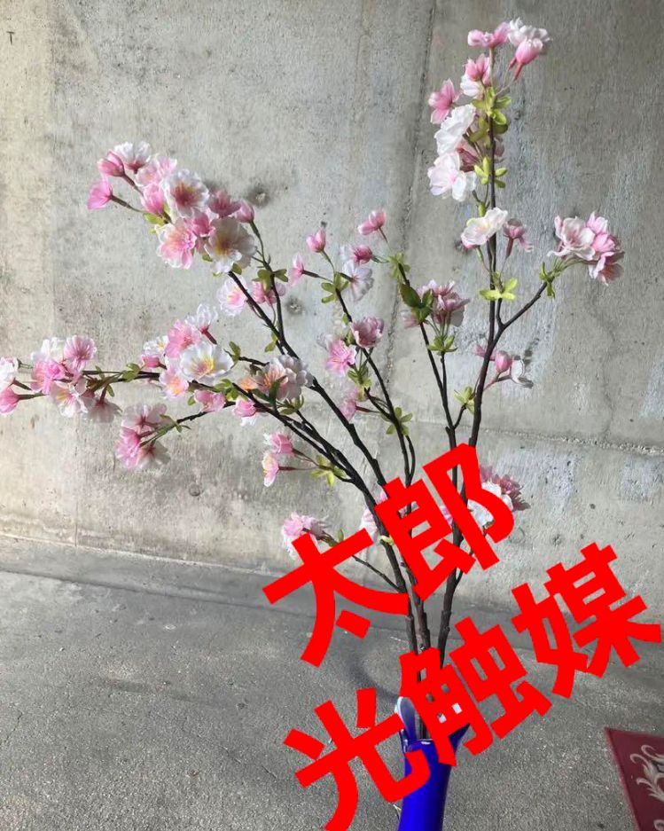 光触媒　人工観葉植物　ウォールグリーン　フェイクグリーン　桜アレンジajt&#39; 光触媒 人工観葉植物 ウォールグリーン フェイクグリーン 桜
