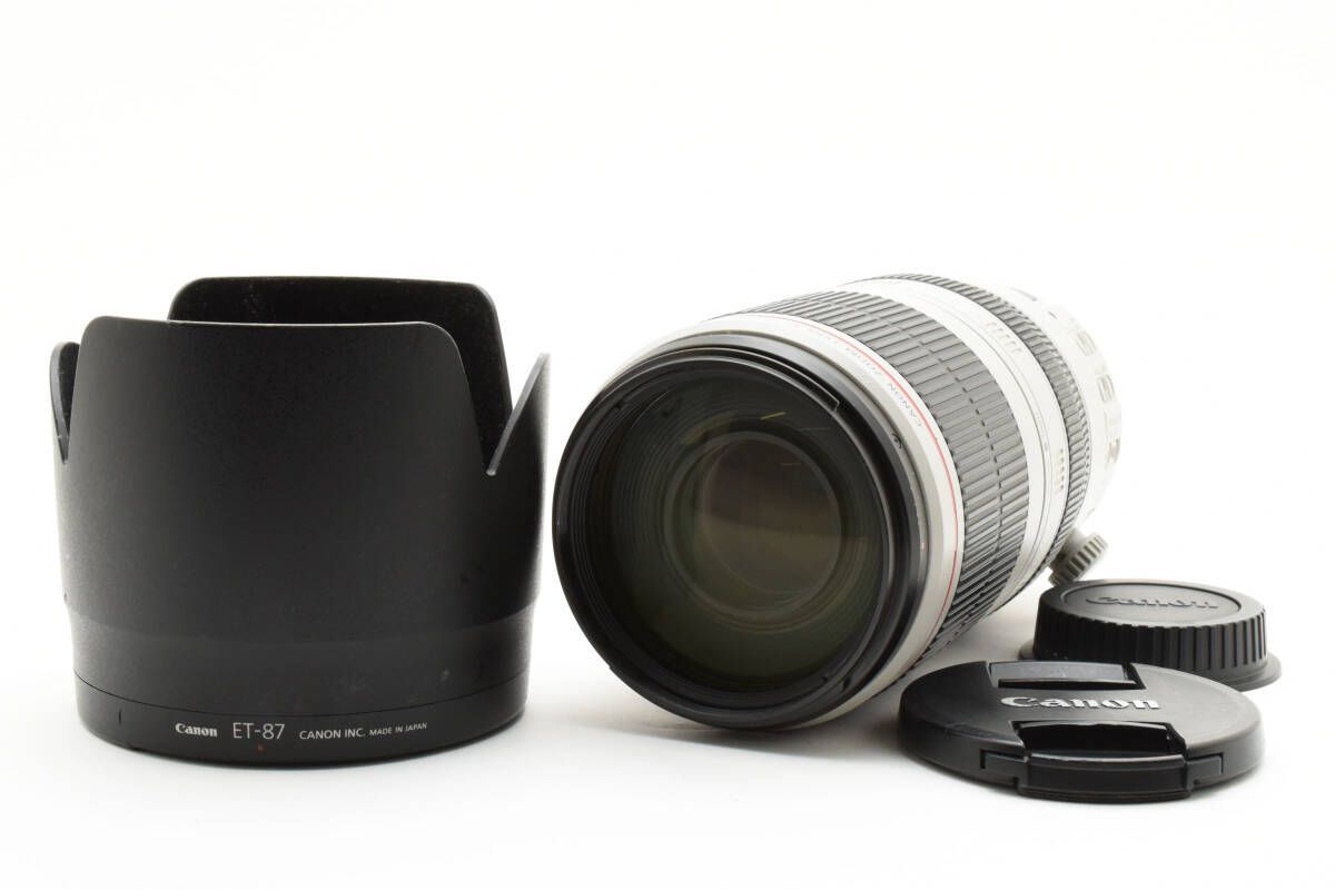 ☆Canon キャノン EF100-400mm F4.5-5.6L IS USM ☆レンズ♪ キャノン EF