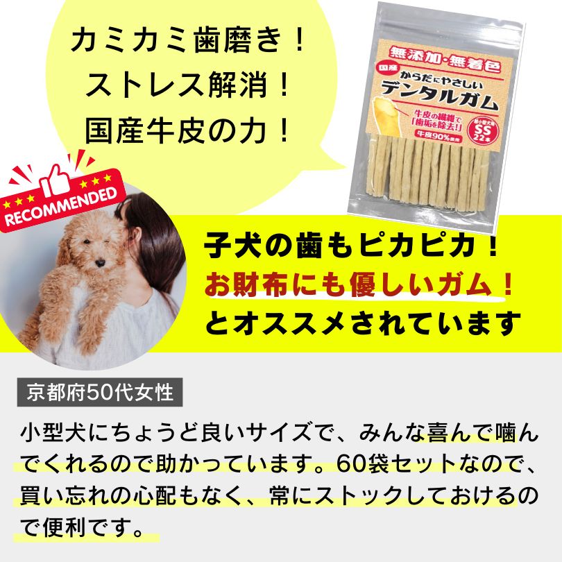 天然牛皮 超小型犬