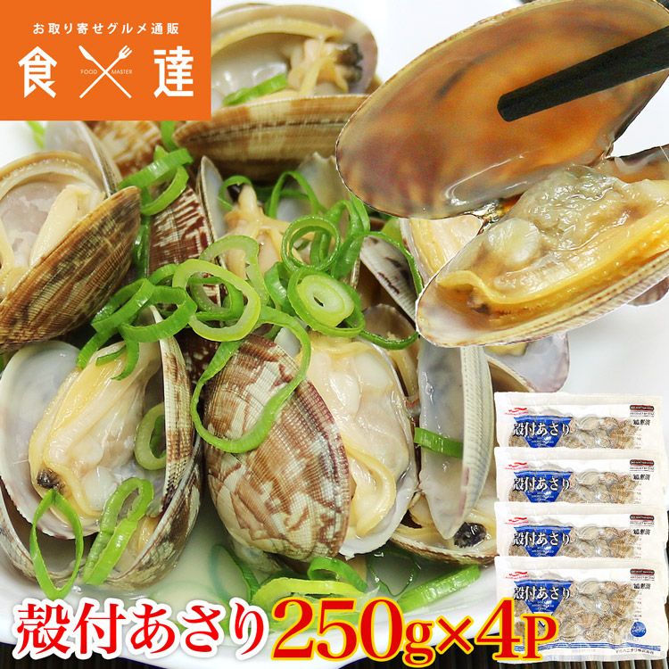楽天市場】あさり 冷凍 殻付きあさり 500g 約41-60粒入【ボイル