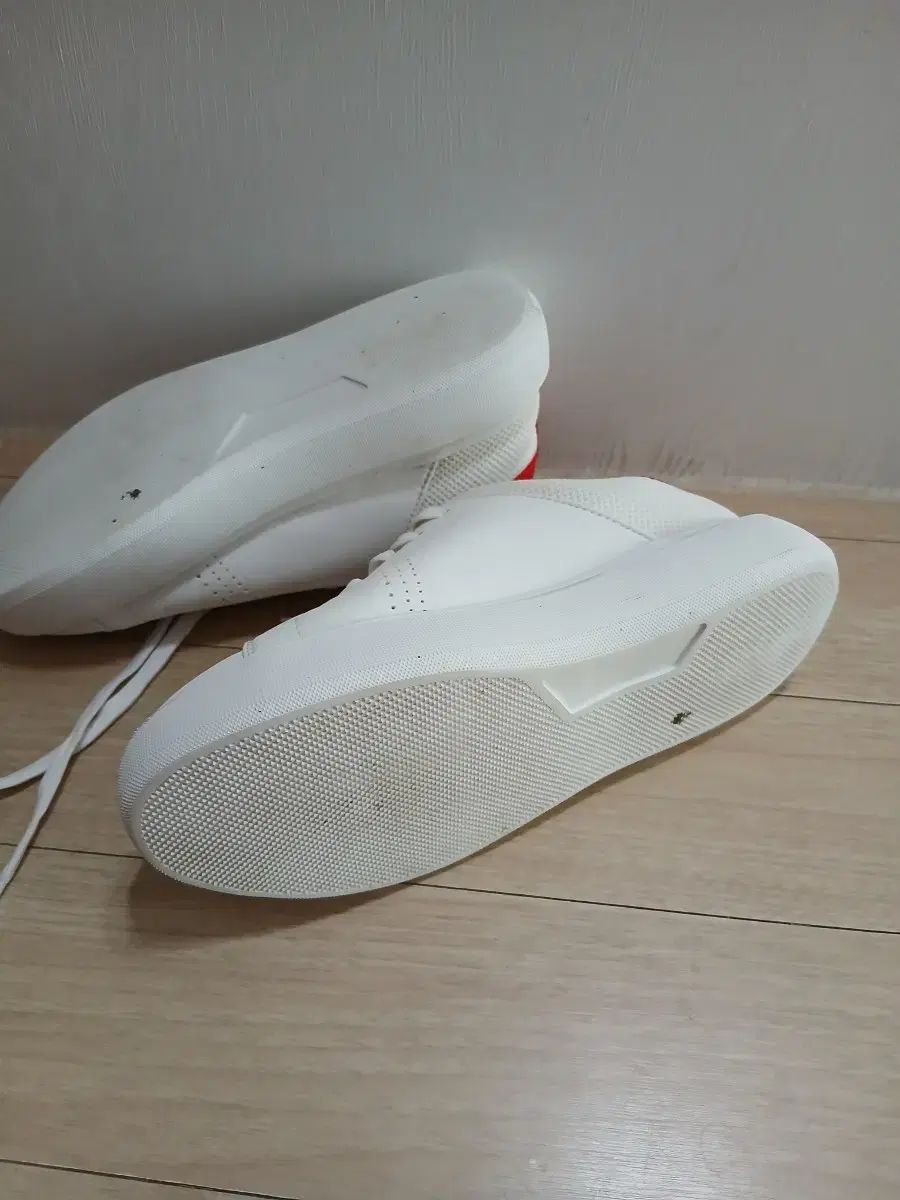 ディスカバリースニーカー