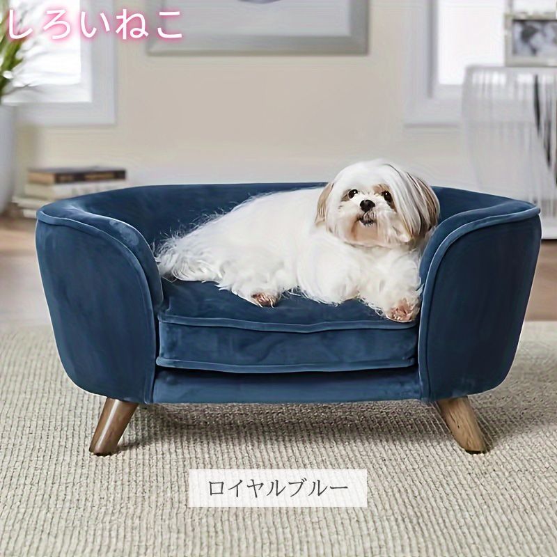 超小型犬 おしゃれ