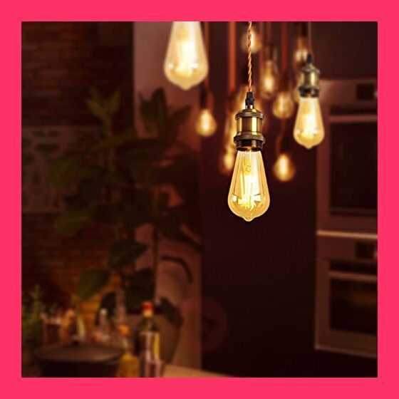 M1844-73-49】ペンダントライト E26 LED電球付き エジソン電球 M1844