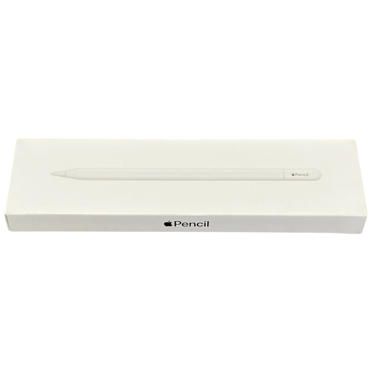 Apple MUWA3ZA/A Apple Pencil USB-C アップルペンシル iPad