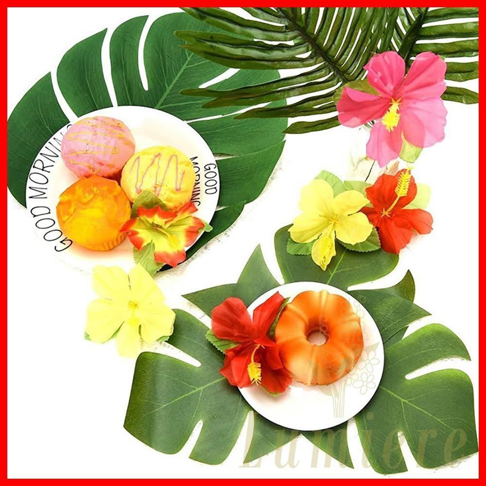 24枚|グリーンセット Lumierechat