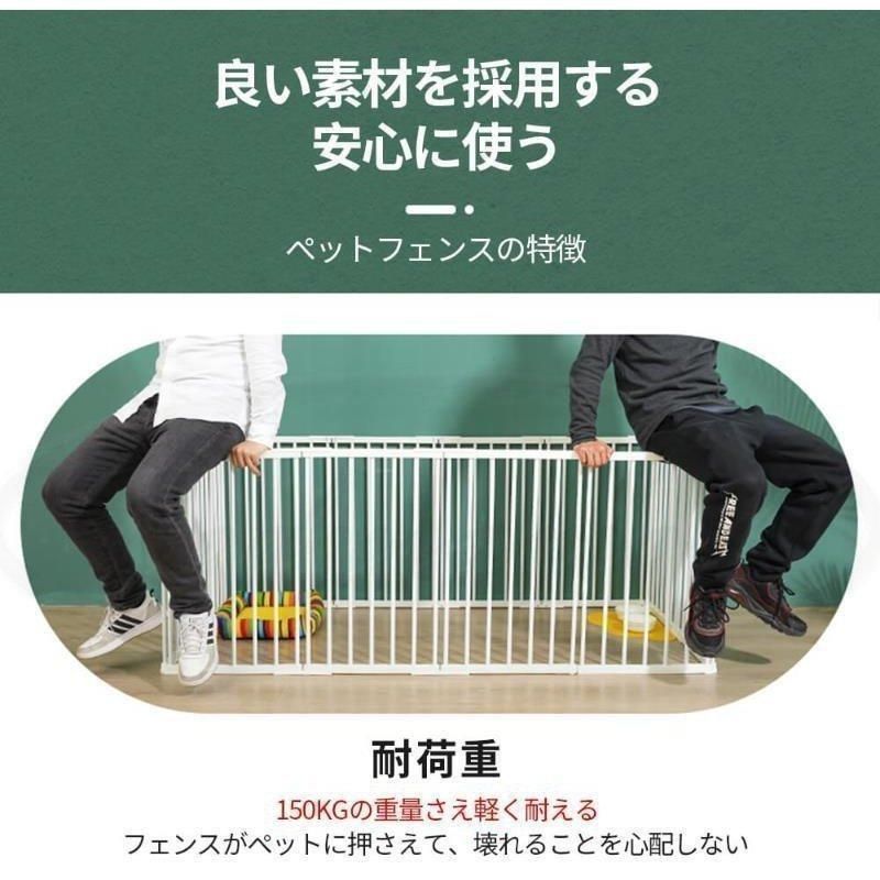 犬