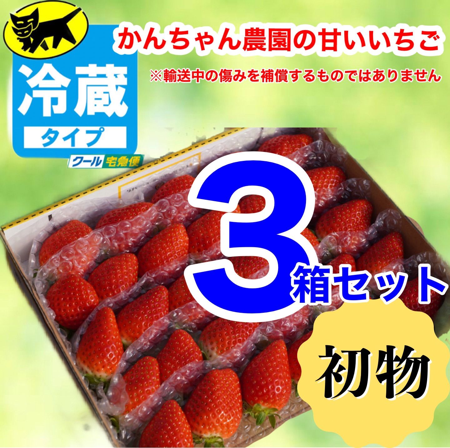 ③箱【クール】【複数割】愛媛県産いちご