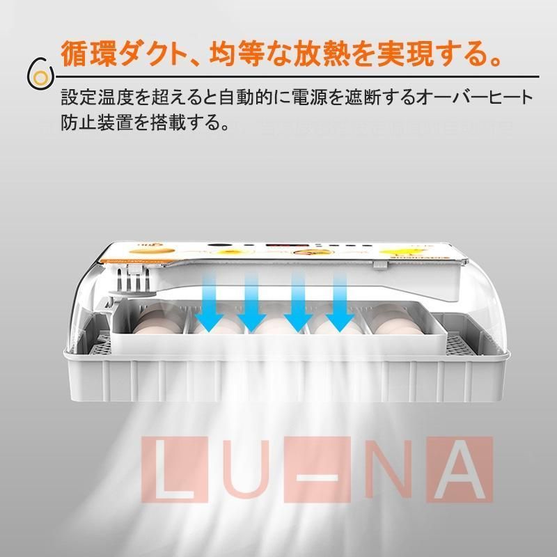 検卵ライト 入卵20個