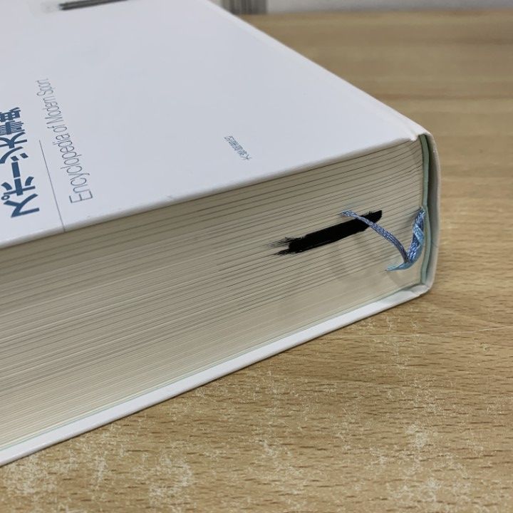 1点限り! 除籍本