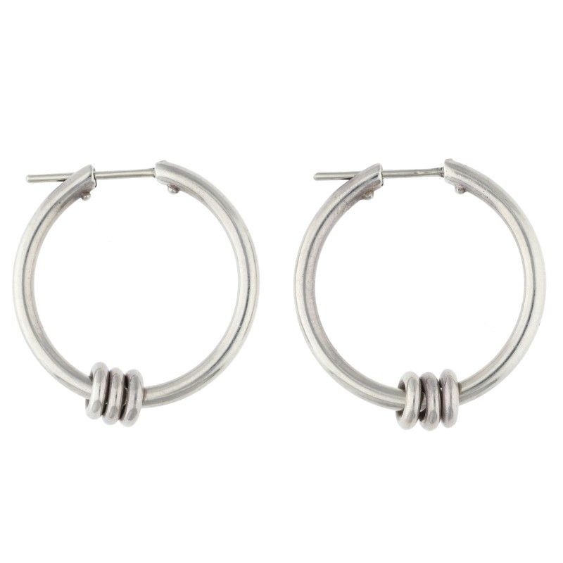 スピネリキルコリン ARGO