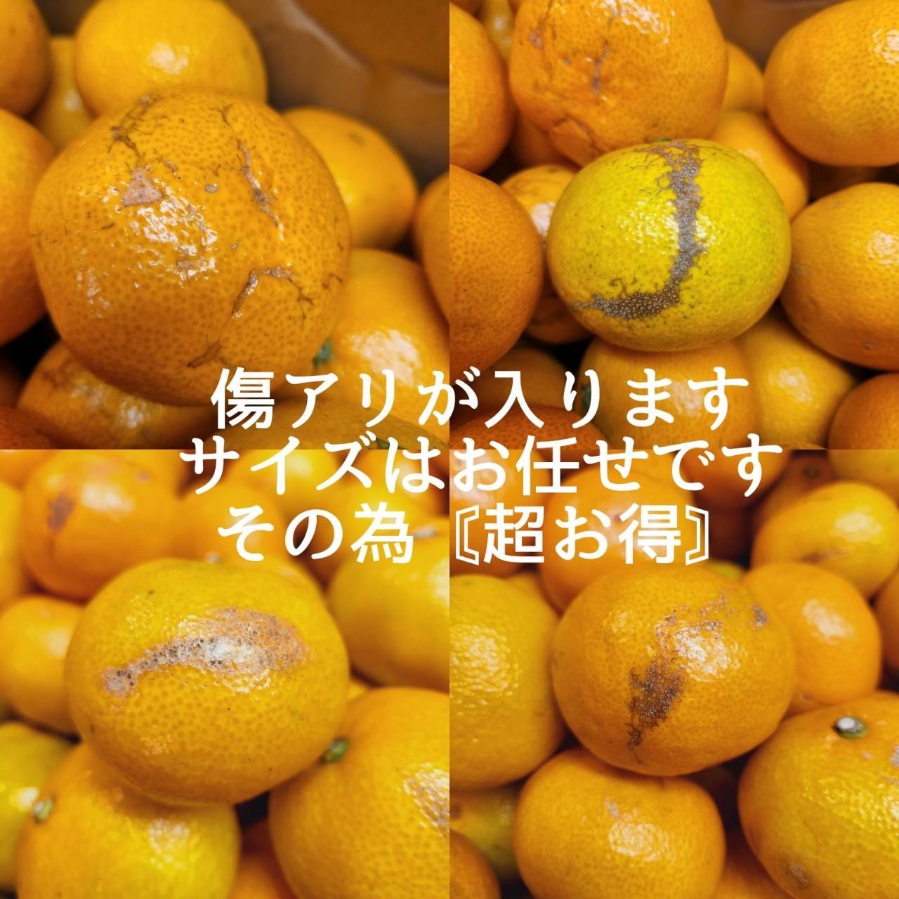 ㉓★極早生みかん 20kg!10kgよりも超お得!コスパ最高 農家直送