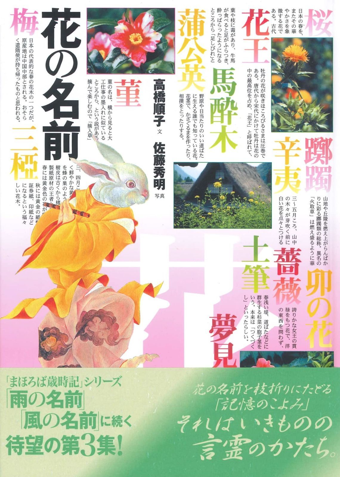  花の名前 その他