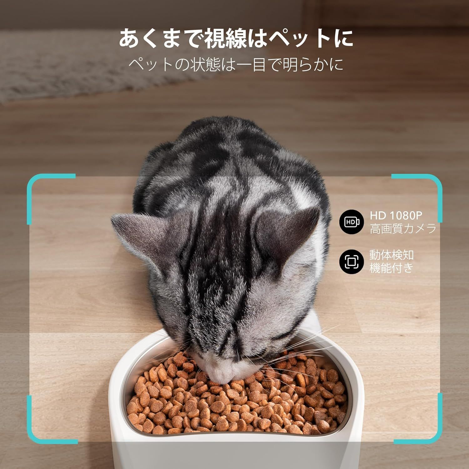 カメラ付き
