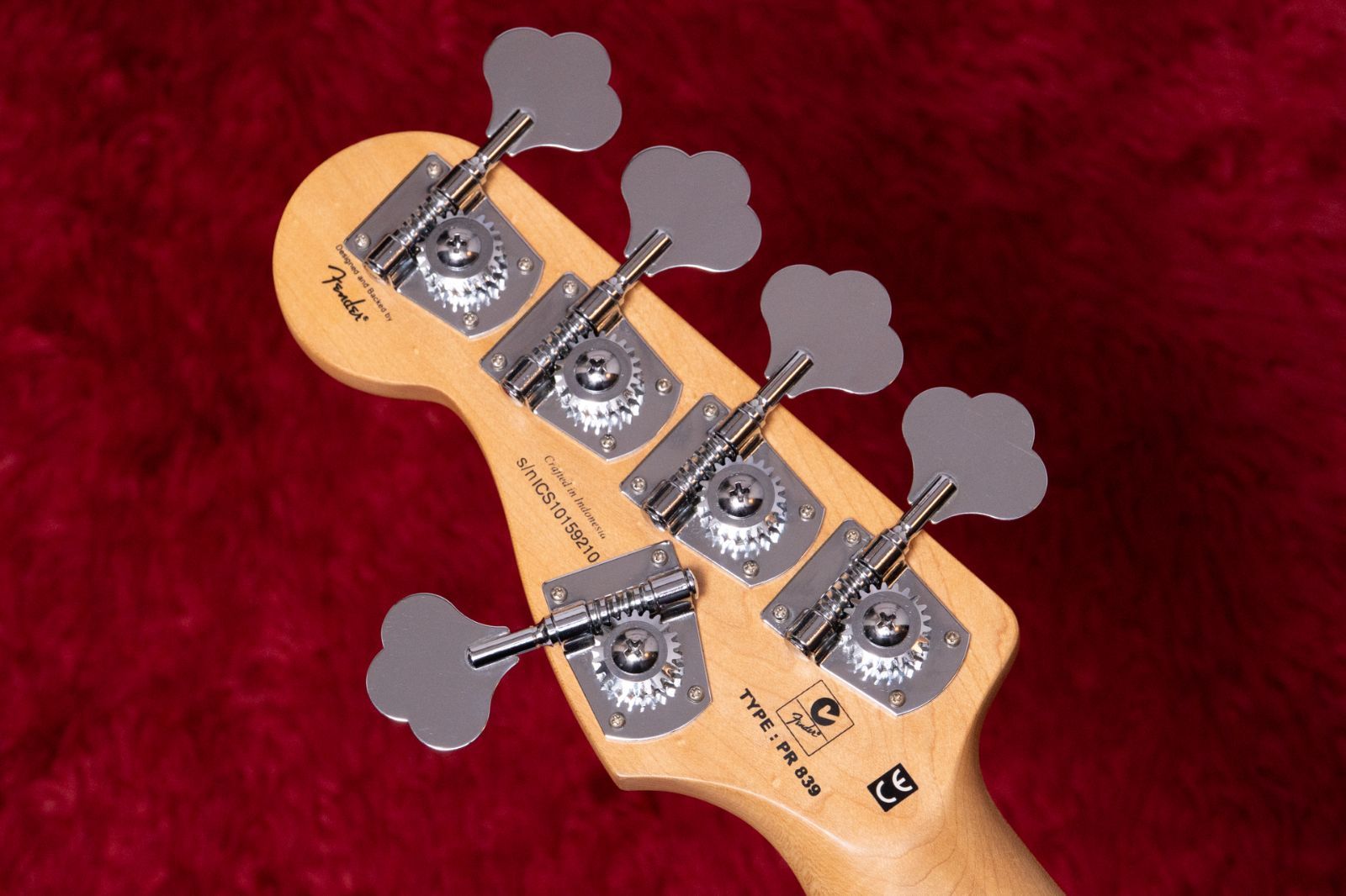 Bass V