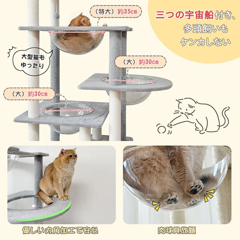 展望台 猫ハウス