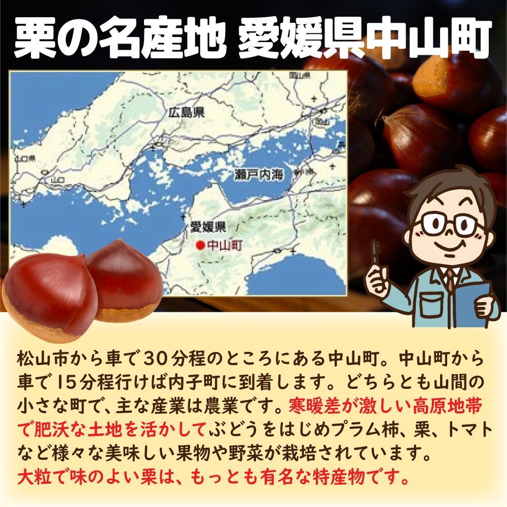 栗の名産地 愛媛県産 訳あり 生栗 約1kg ※更にお得な3kg、5kgでの販売のページもございます。お店のトップページよりご確認いただけます。