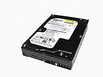 【中古】Western Digital Caviar RE 250GB 7.2k SATA 3.5インチ　内蔵HDD　WD2500SD