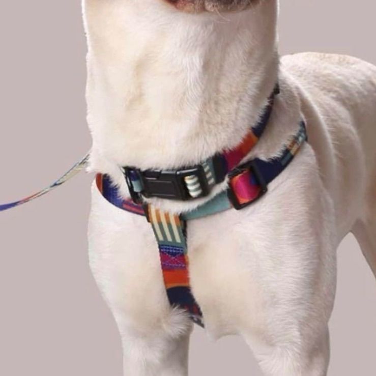 【セット販売】ハーネス　首輪　リード【S.Mサイズ】北欧デザイン　カラフル　マルチカラー　レトロ色　おしゃれ　かわいい　小型犬  中型犬