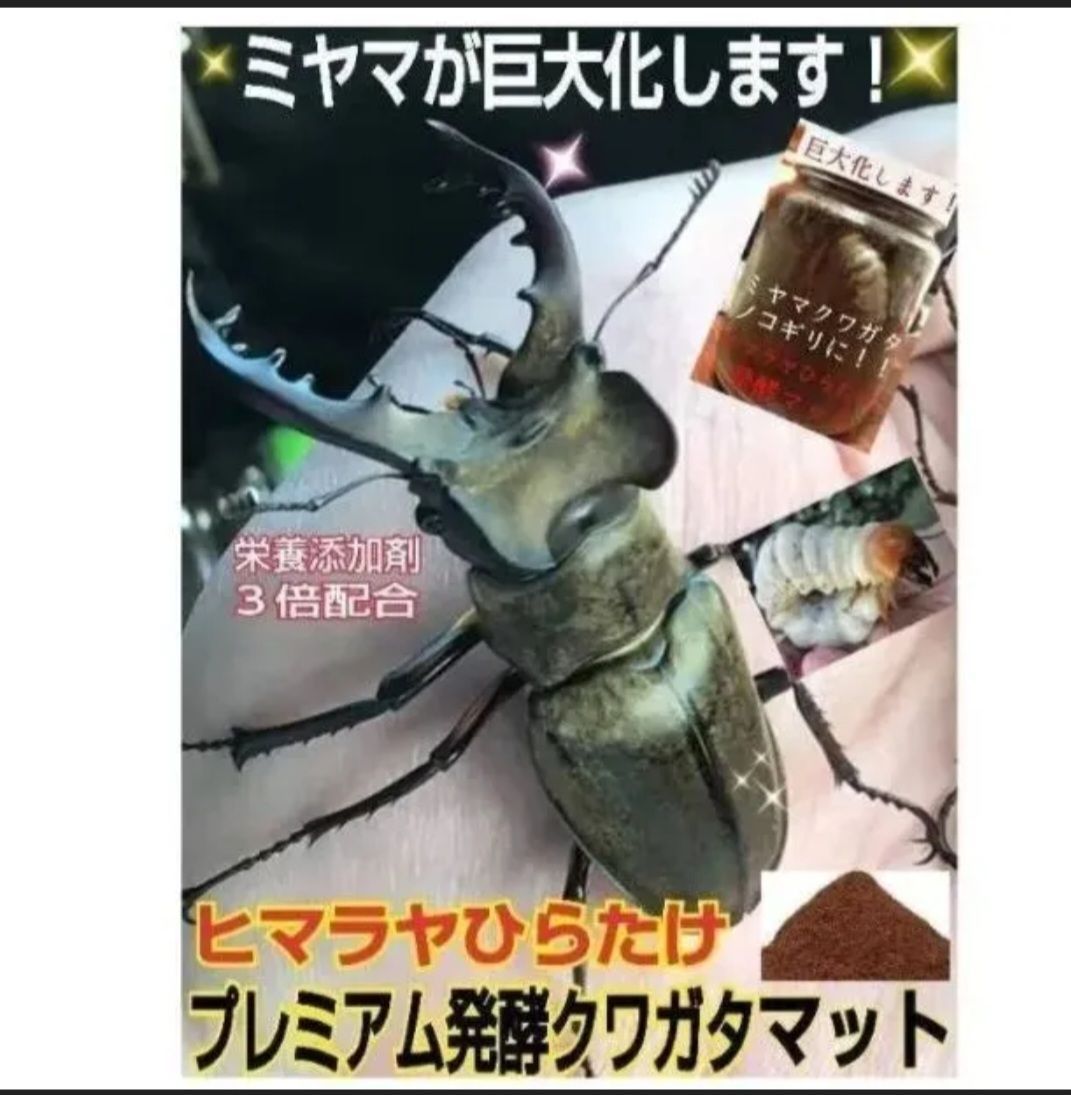 昆虫用品 ミヤマクワガタに抜群！プレミアム3次発酵マット【2袋