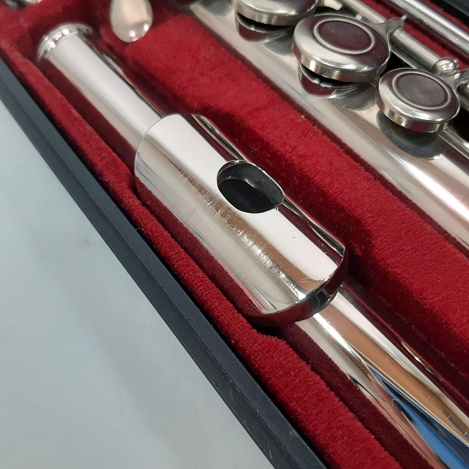 ハードケース付き 301929