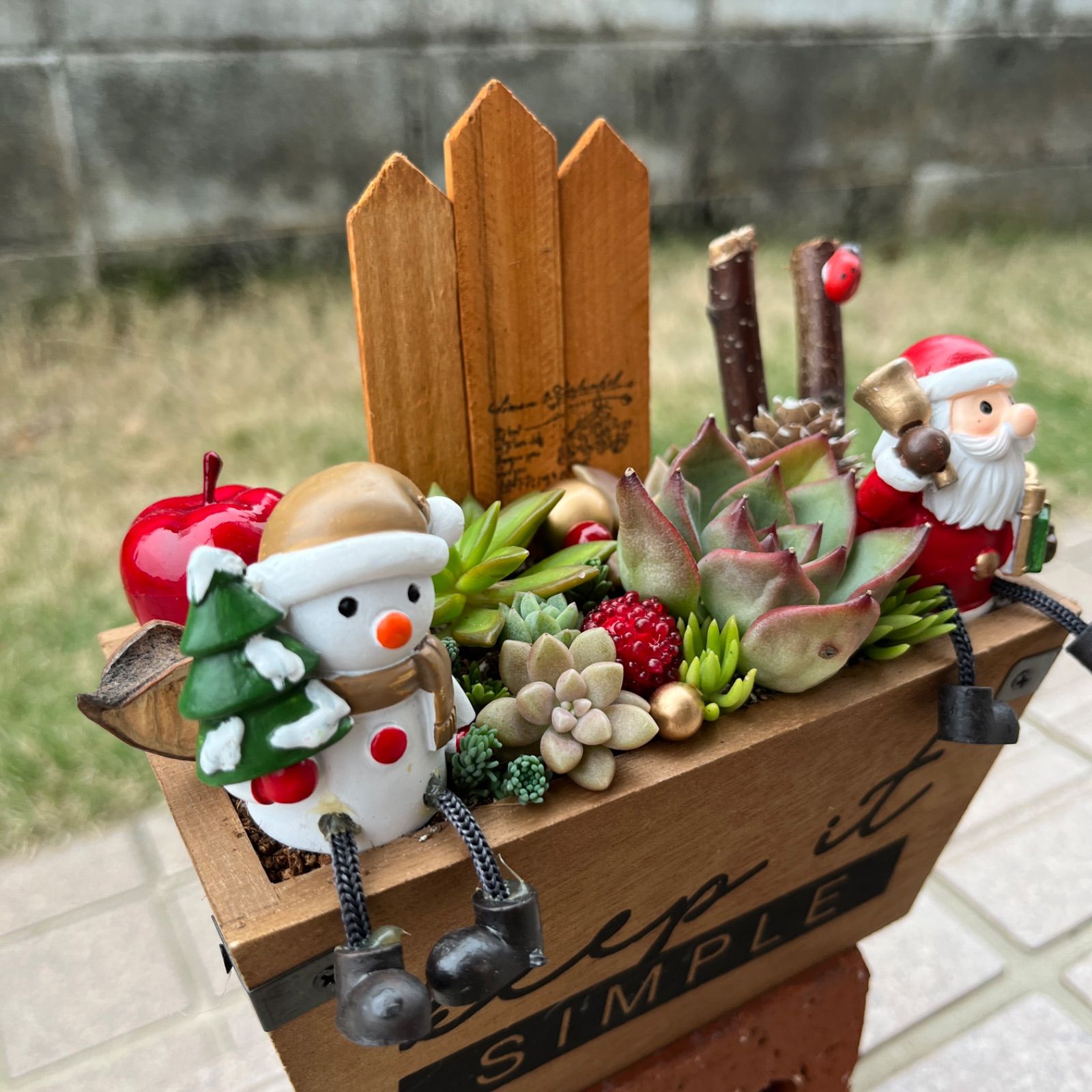 ♡そのまま飾れる♡クリスマスの多肉植物寄せ植え