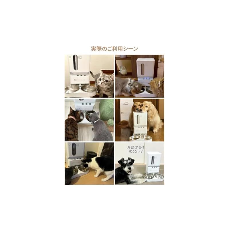 2種類出せる MOFMORE 自動給餌器 猫 犬 2匹 音声録音 5L大容量 1