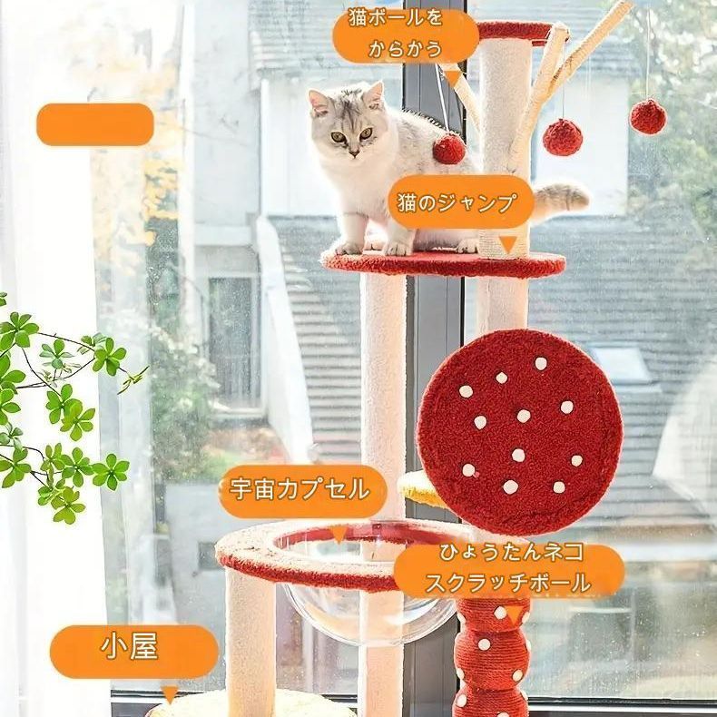高さ130cm 大型猫