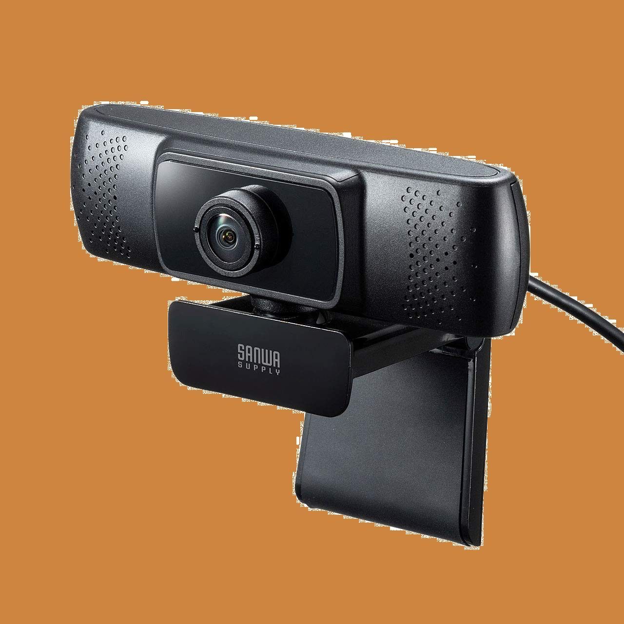 サンワサプライ 会議用ワイドレンズカメラ ブラック CMS-V43BK