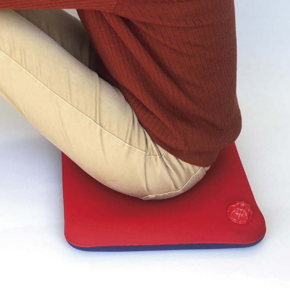 クロッツやわらか湯たんぽ座布団 穴無 24-7213-00 クロッツ HY-613 レッドXネイビー