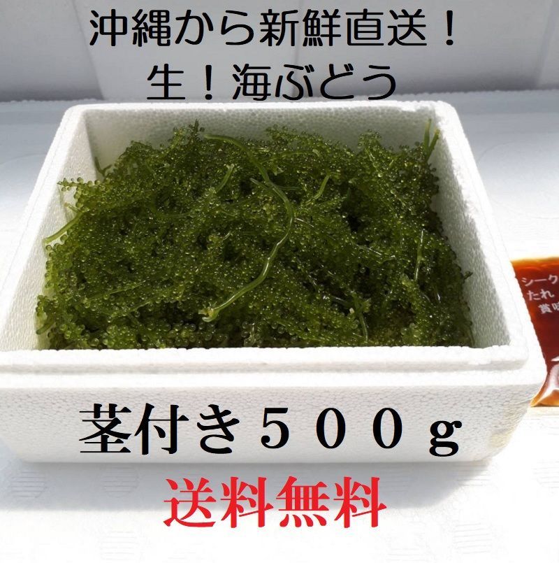 鮮度抜群！やんばる産海ぶどう茎なし特A品500g 期間限定で特別価格 - 野菜