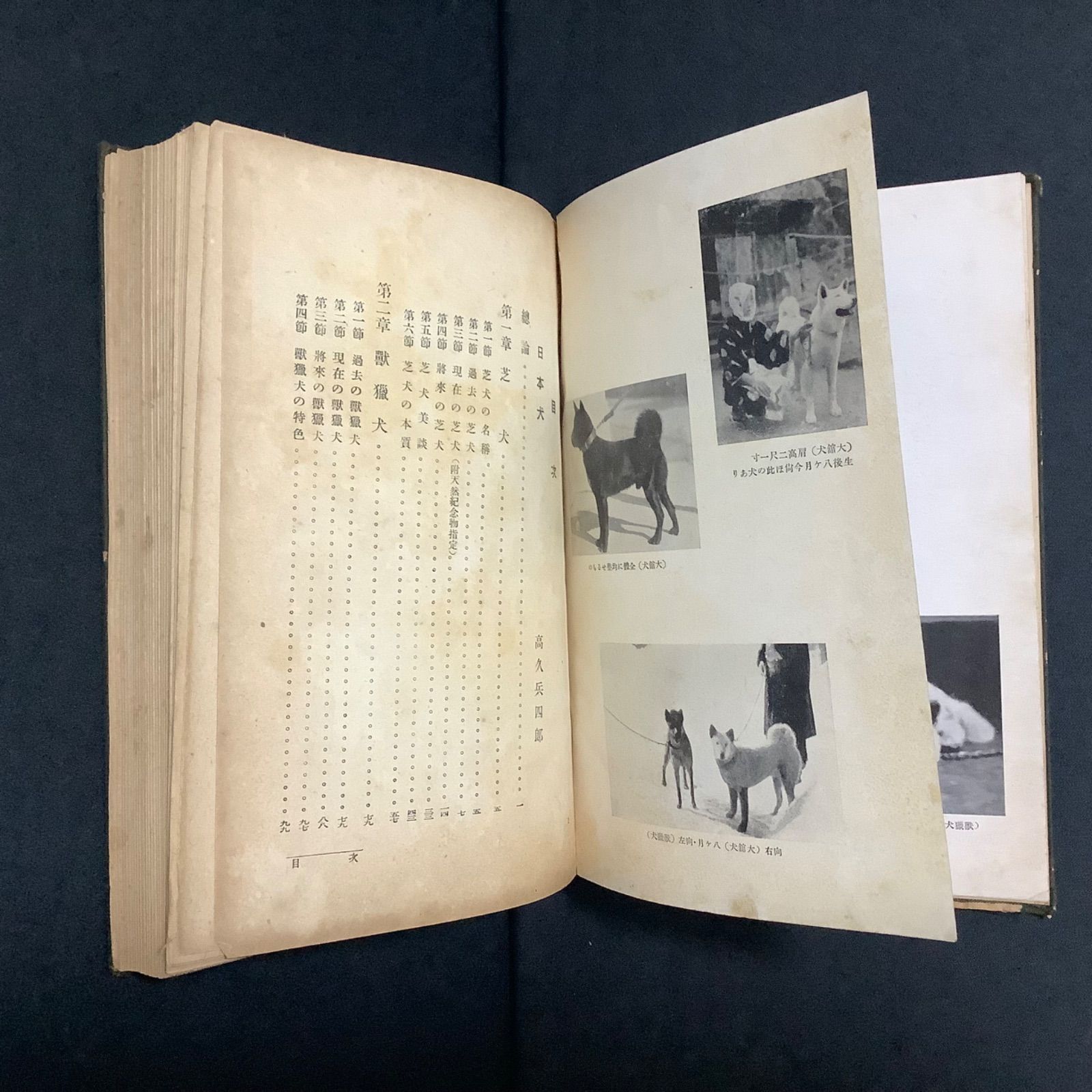 科学のアルバム 動物・鳥編 新装版(全20巻セット) 科学のアルバム 動物