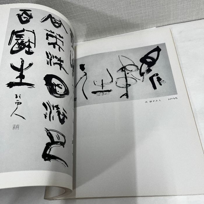 青山杉雨展 1994-1995 図録 書道 二玄社 1994年 - メルカリ