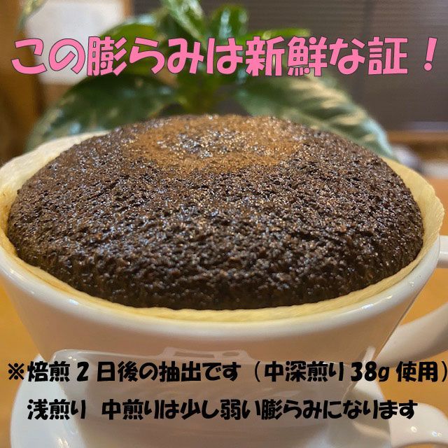 コーヒー 自家焙煎 コーヒー豆 コロンビア スイートベリー 200g 注文後