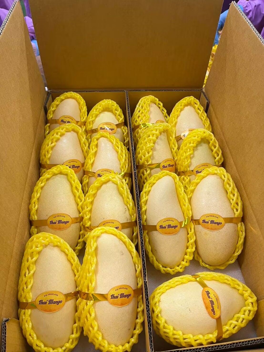 空輸タイ産 マンゴー　芒果 Mango มะม่วง quả xoài 空港便 タイ産 マンゴー 芒果 Mango มะม่วง quả xoài - メルカリ