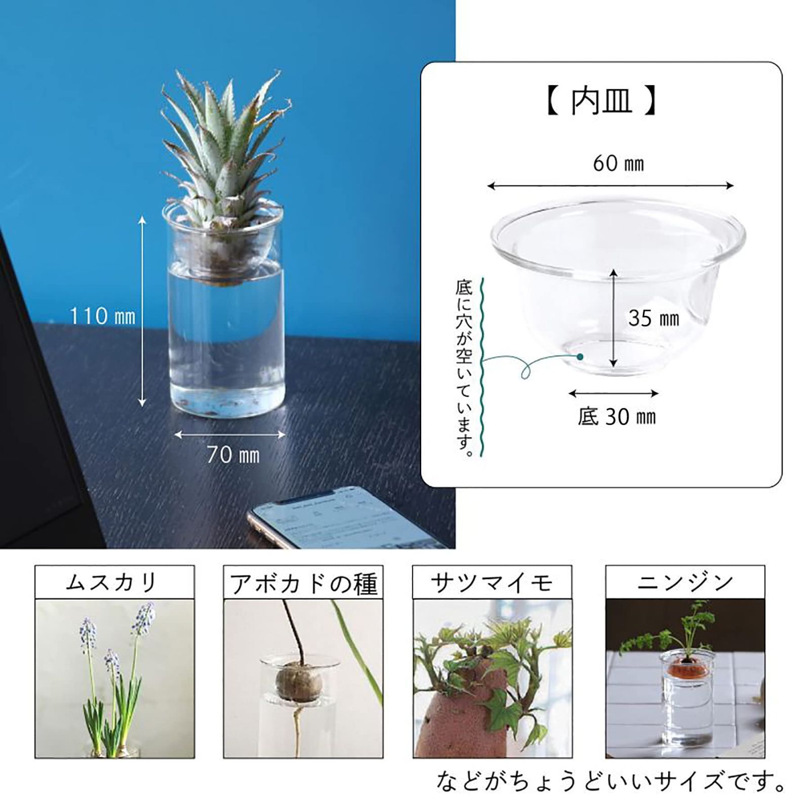 新着商品】クリア バルブベース VASE 11cm BULB MINI 花瓶 水栽培ガラスベース KEGY4053 水替えしやすい LIFE(スパイス)  OF SPICE - メルカリ